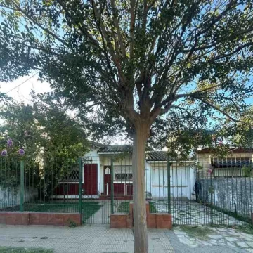 C. Lettieri 600