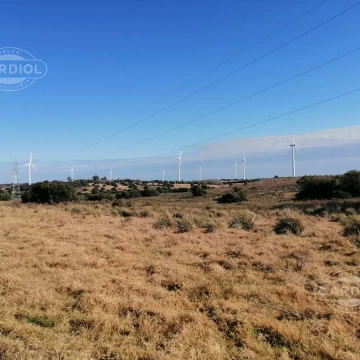 Campo Agrícola/Ganadero en Tarariras