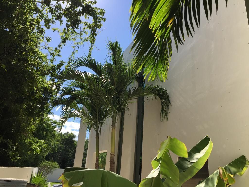 image 14