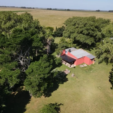 Campo en  Colonia Barragan de 110 Ha