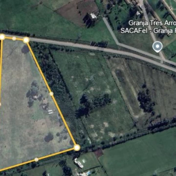 Campo en PILAR (Fátima) - 8 Ha, ideal inversor.