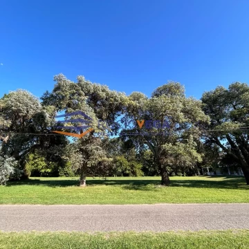 1740407055.jpg