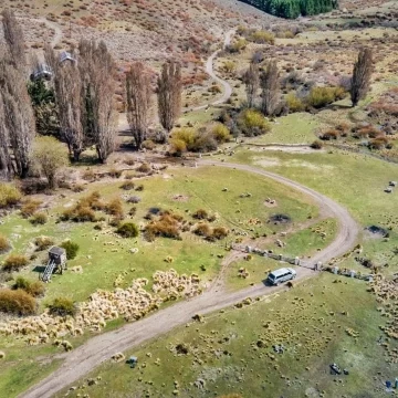 Campo en  San Martin de los Andes