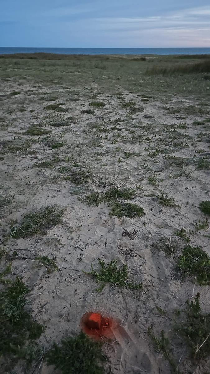 image 16