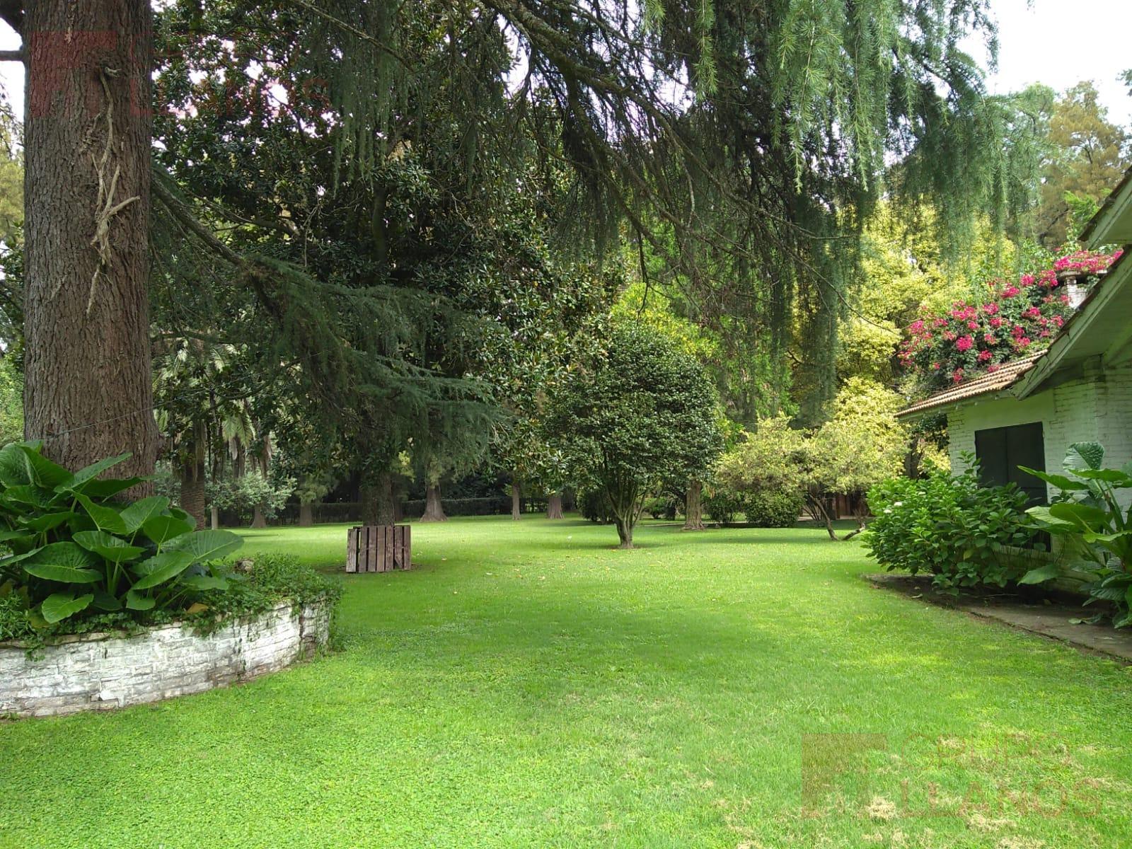 image 29