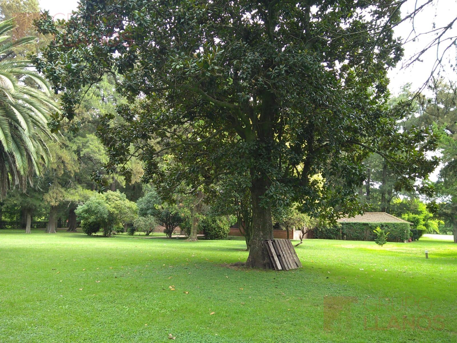 image 33