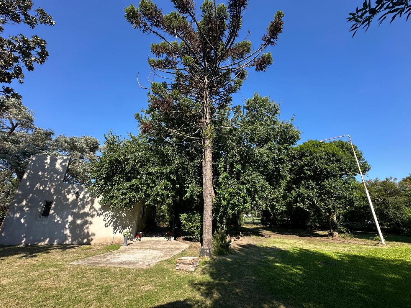 image 25