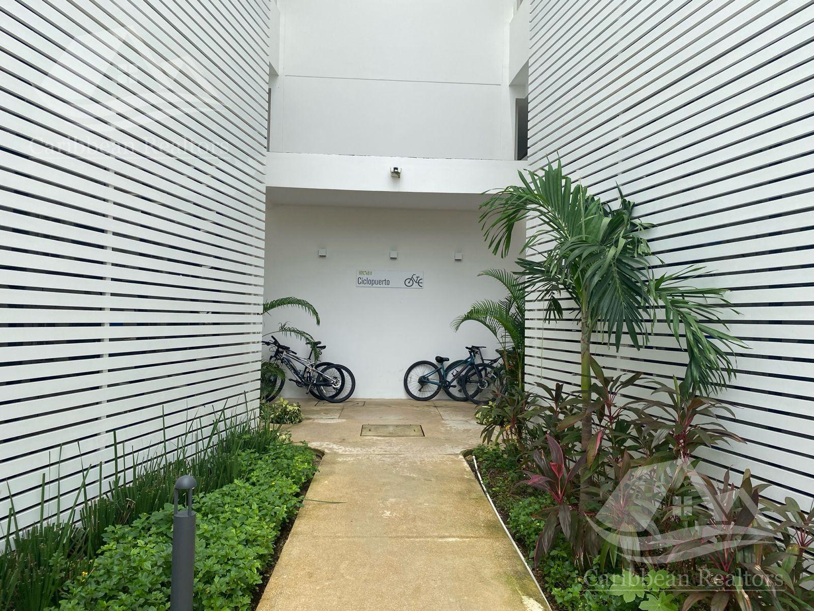 image 49