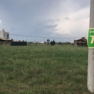 1741720344.jpg