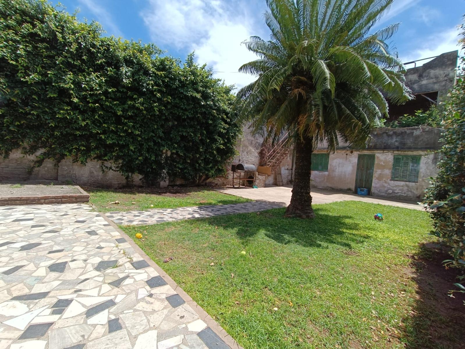 image 14