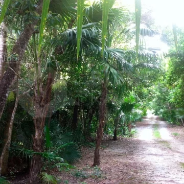 Terreno en Venta Cancún Campestre