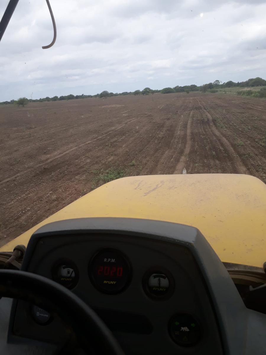 image 13