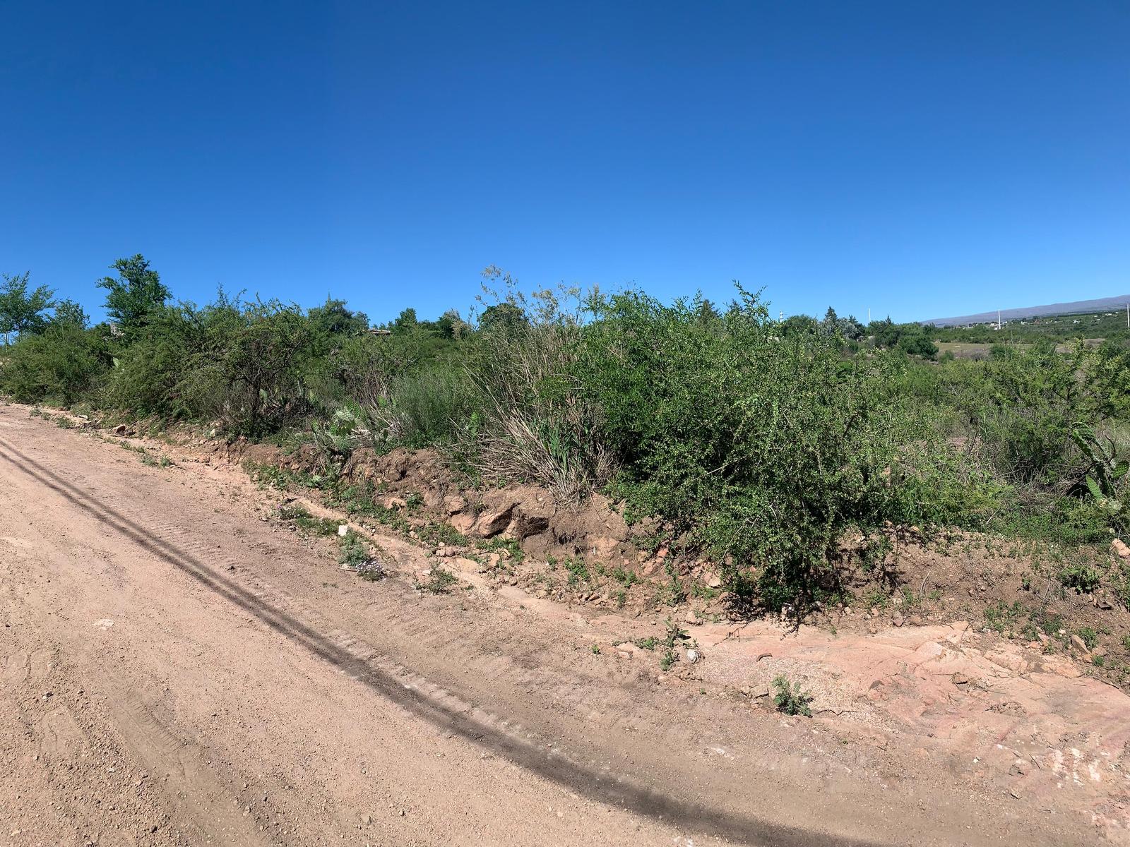 image 14