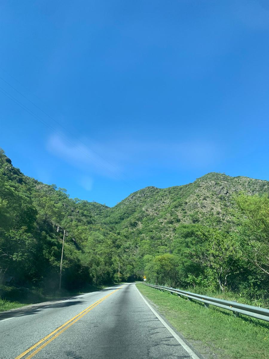 image 31