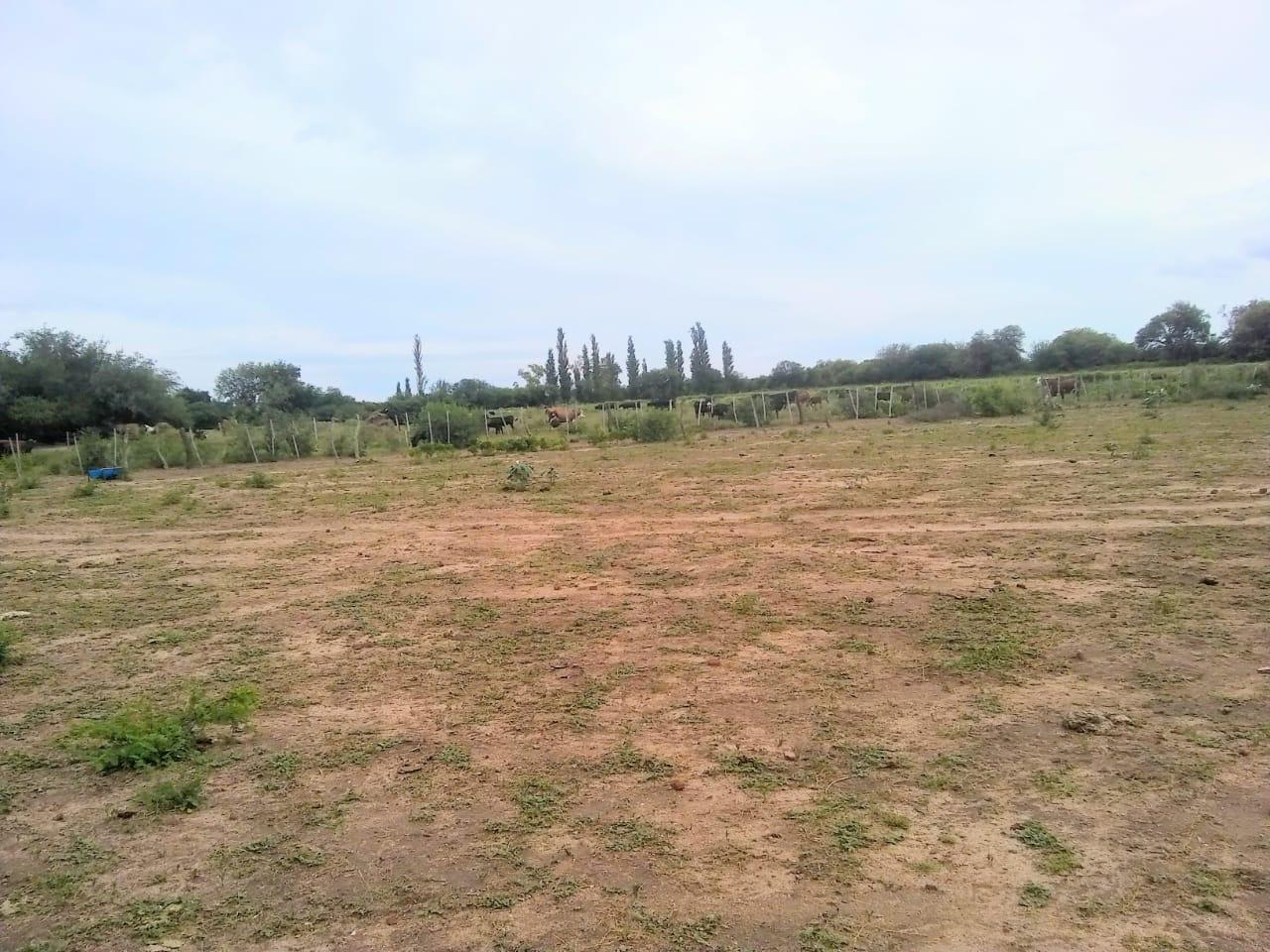 image 31