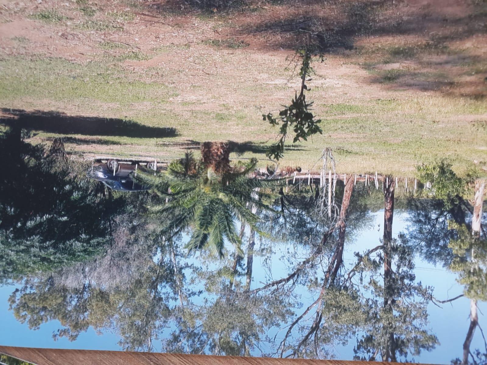 image 32