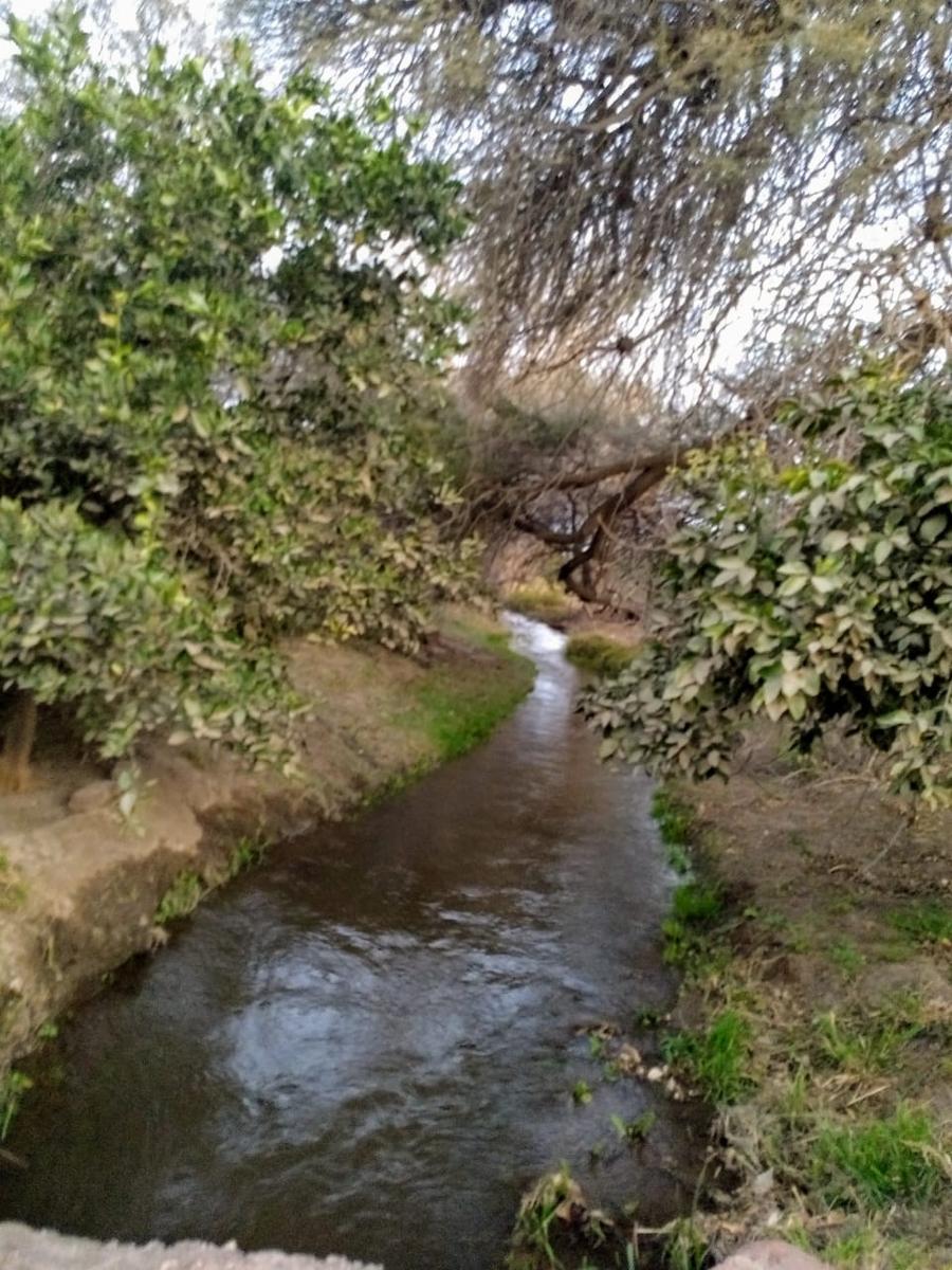 image 36