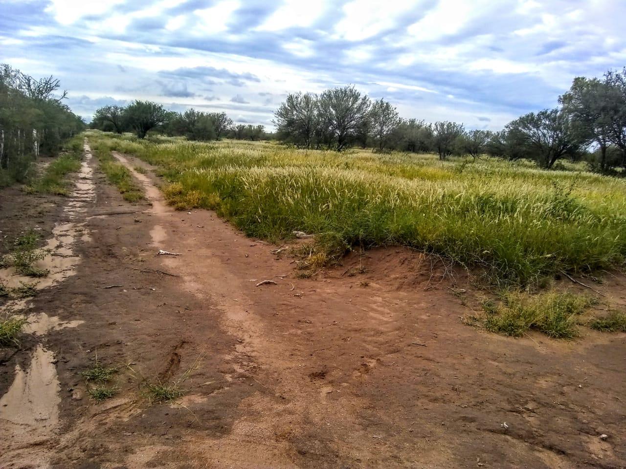 image 41