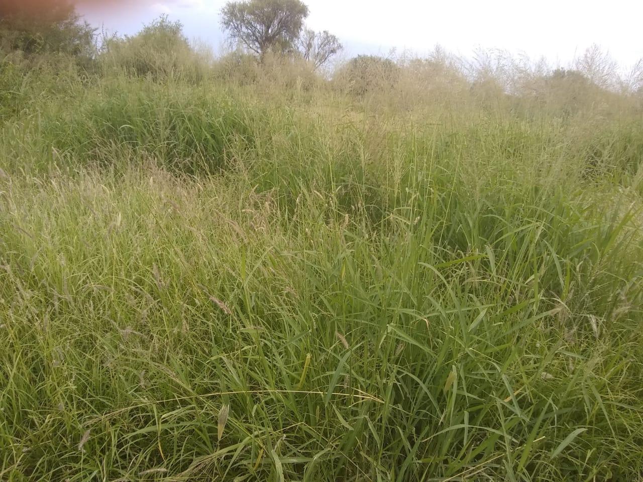 image 44