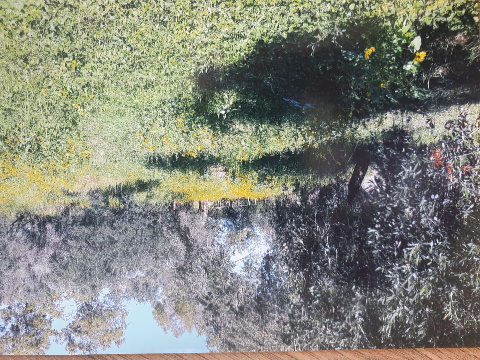 image 52