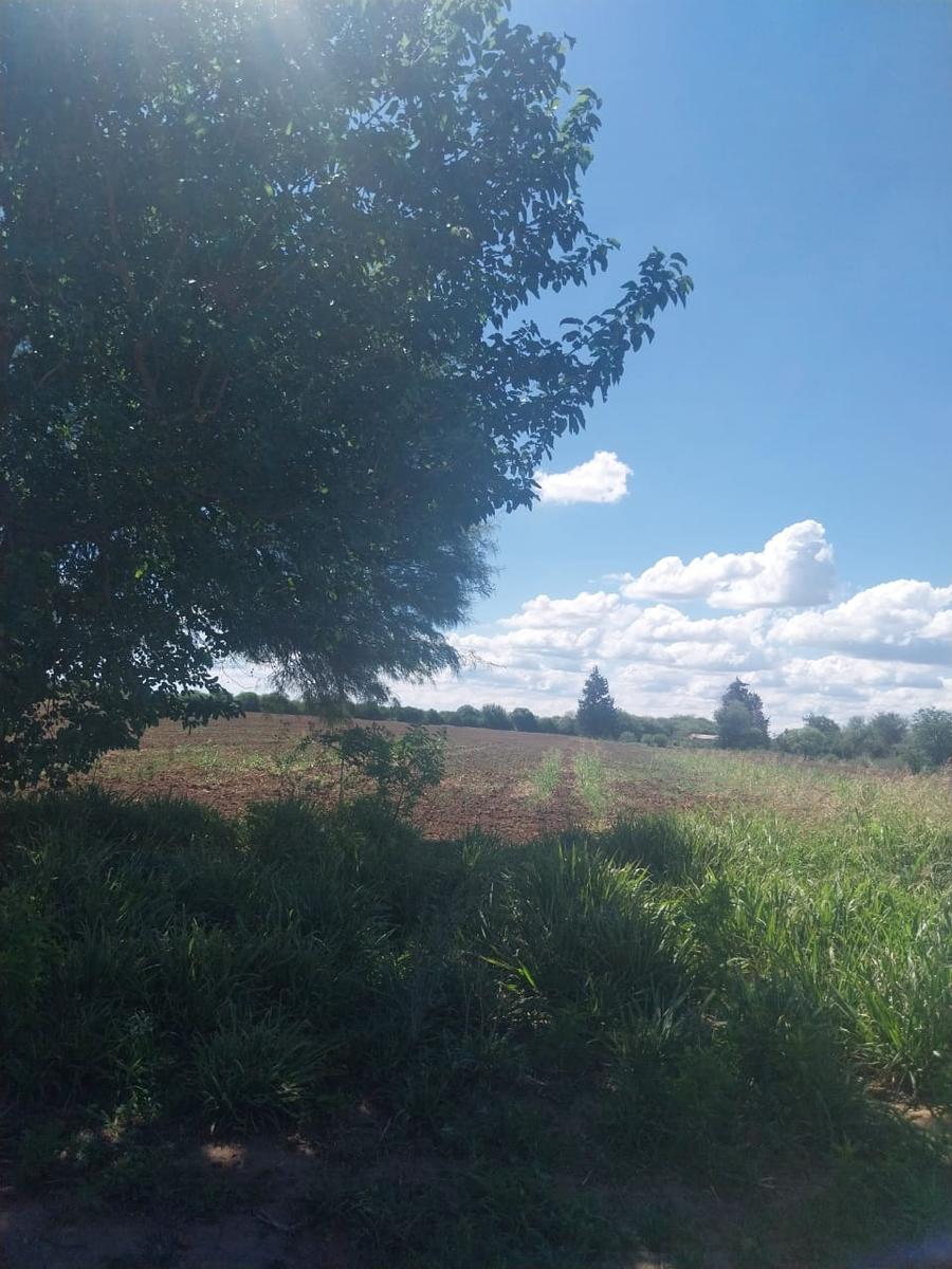 image 13