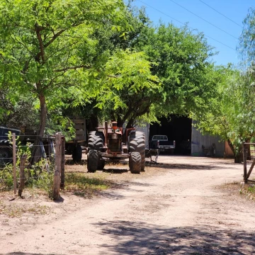 Campo en  venta  en  Ruta Rrovincial - Comuna Los Chañaritos - Cruz del Eje