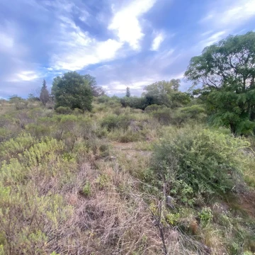 VENTA LOTE 999,86 M2 EN CABALANGO 