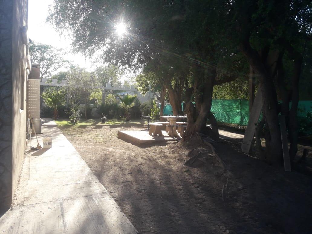 image 32