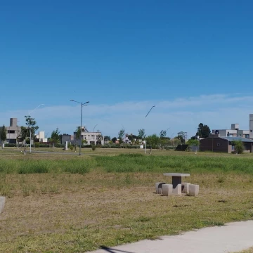 1742400742.jpg