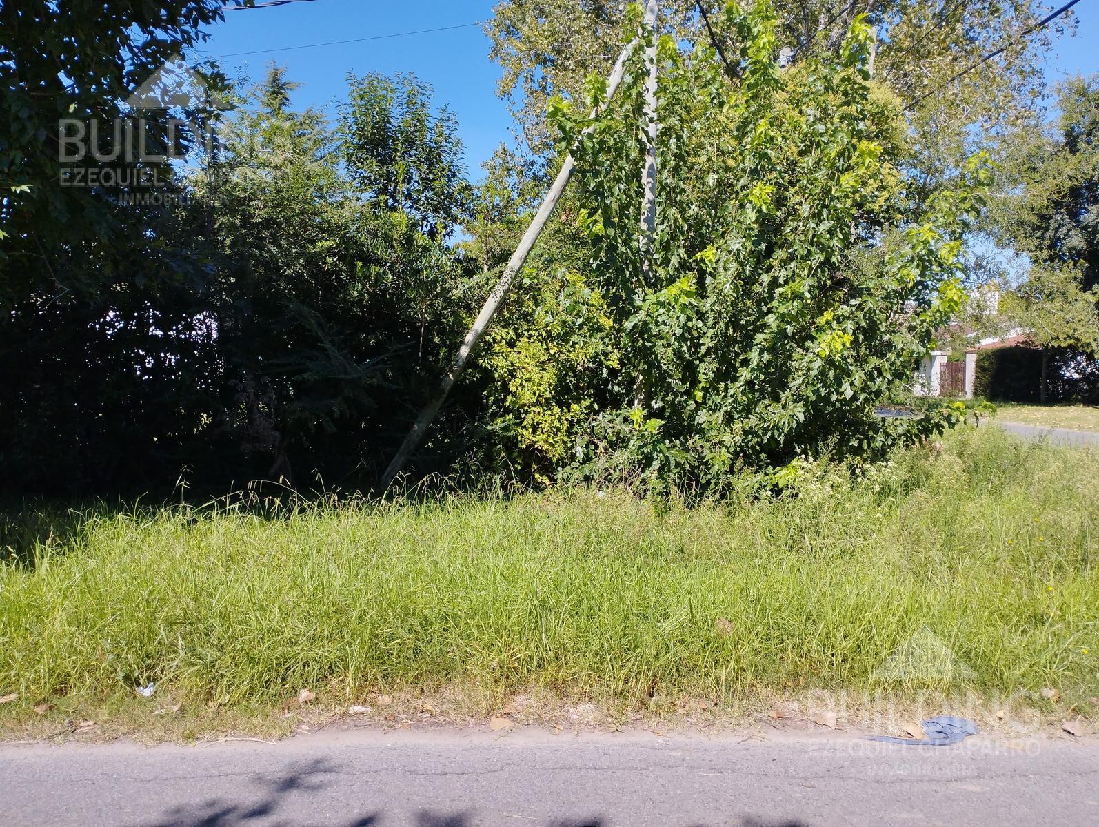 image 14