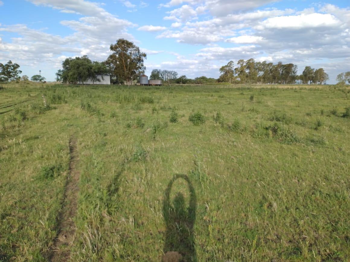 image 13