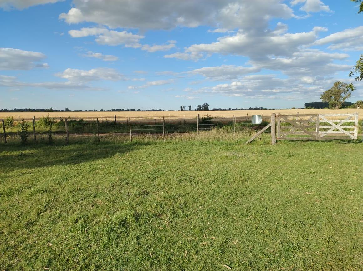 image 24