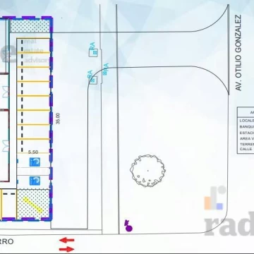 1743099436.jpg