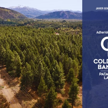 VENTA / LOTE  988m² UF7 manzana B Postal Patagonia San Martin de los Andes Patagonia