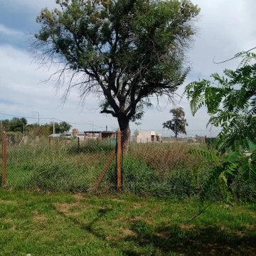 Vende Lote - Barrio Las Tipas - Alvear - Ruta 18