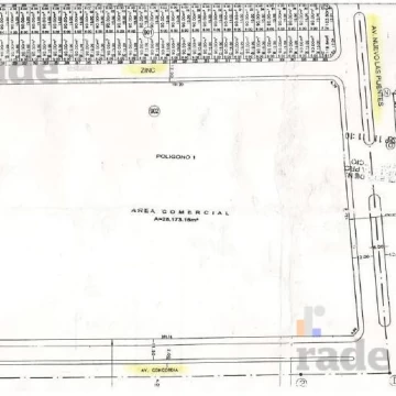 1743203835.jpg