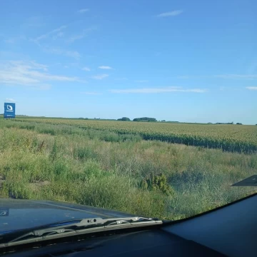 Campo en  PERGAMINO, RUTA 8 KM 209.5