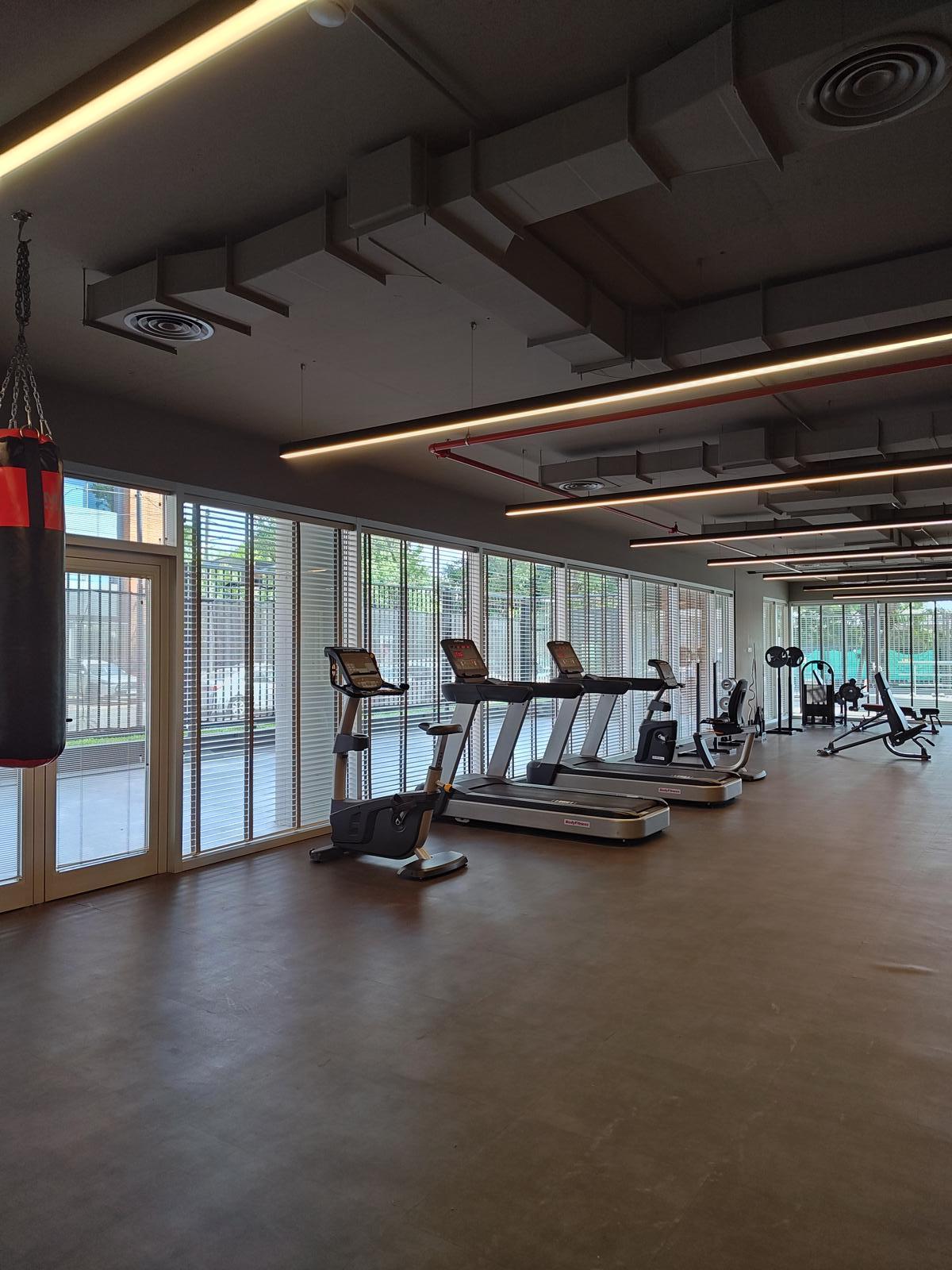 Gimnasio