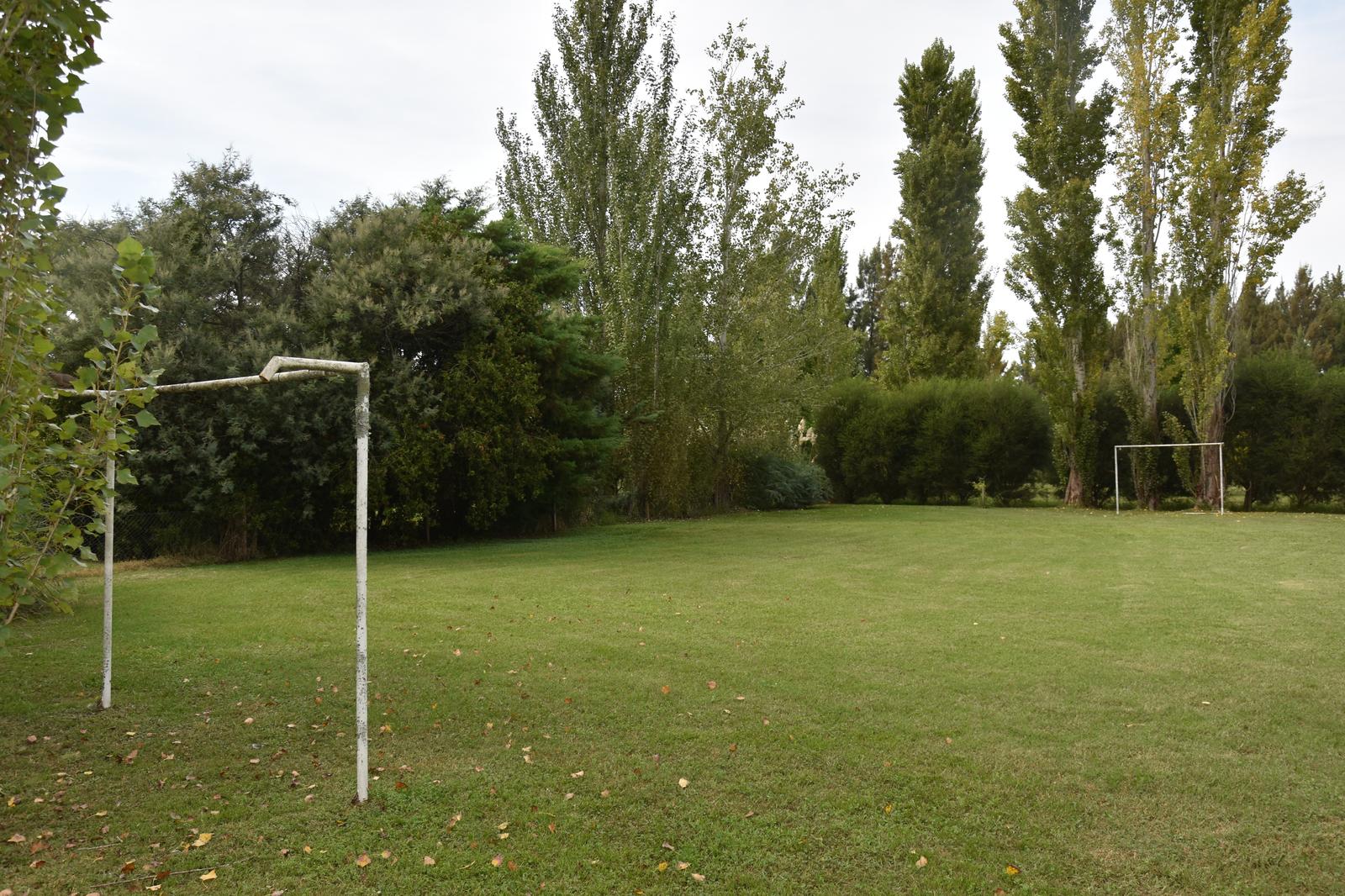 image 51