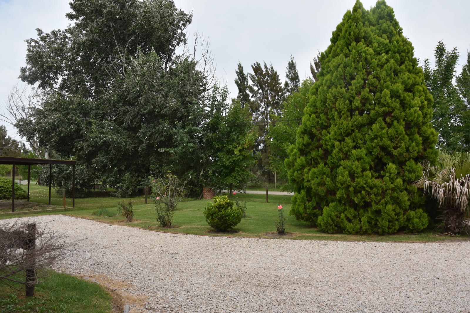 image 58