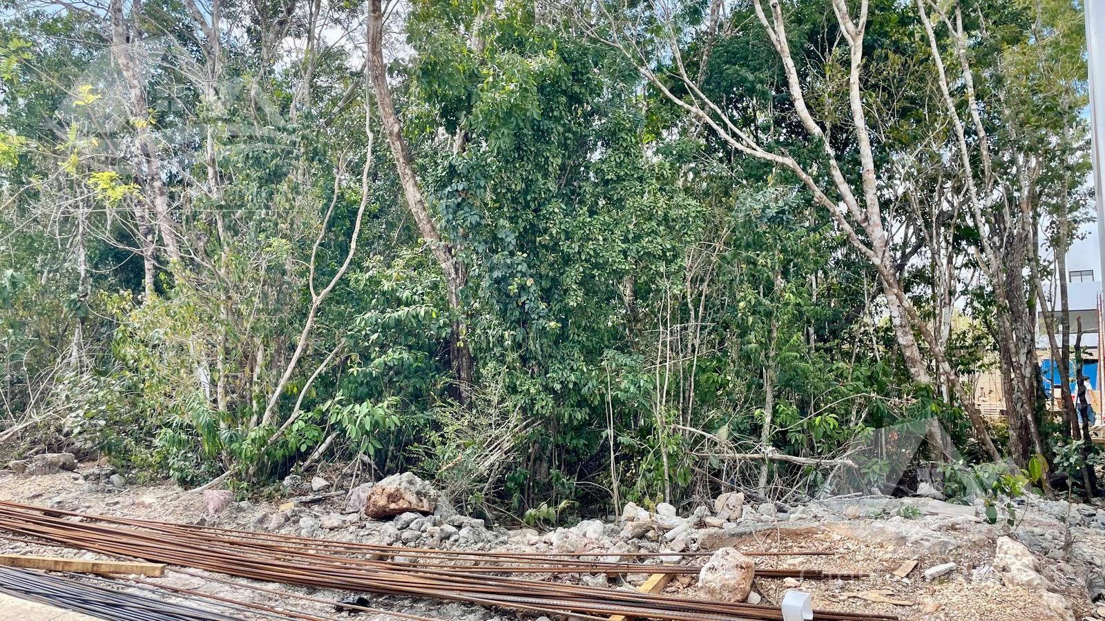 image 18