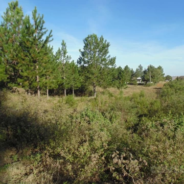 Terreno en venta en Balneario Zagarzazú Carmelo