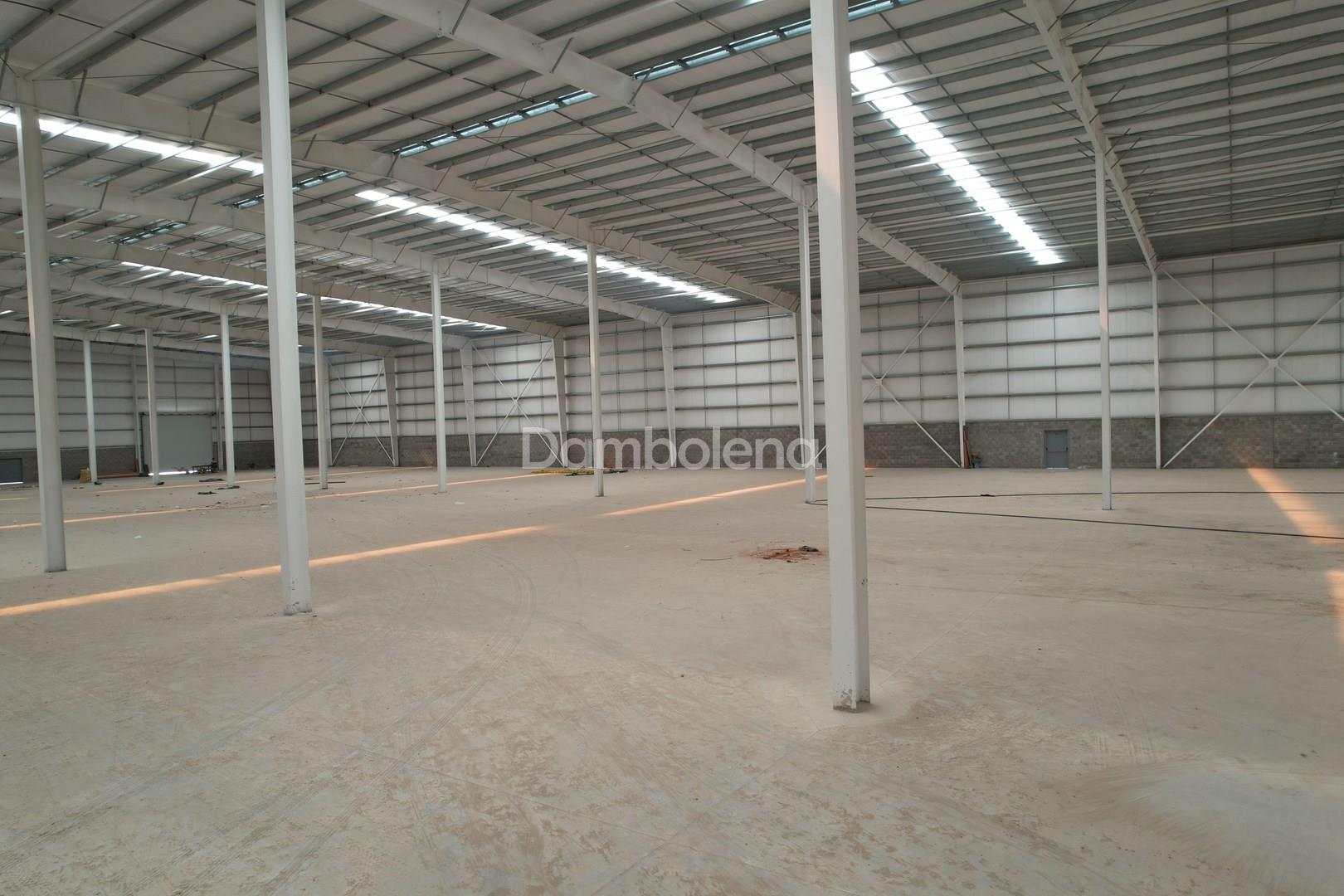 image 19
