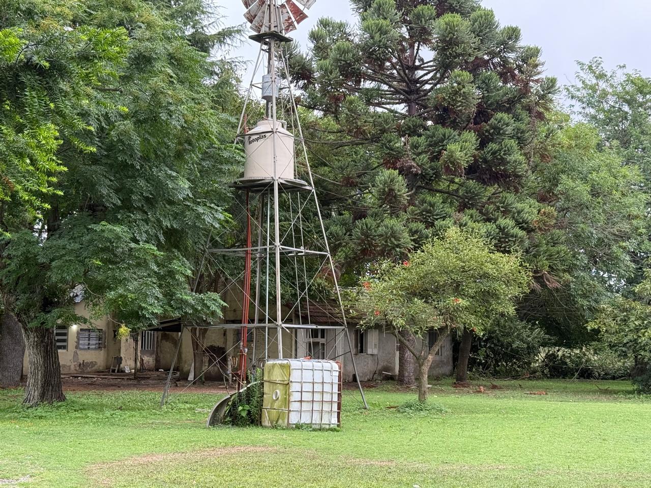 image 18