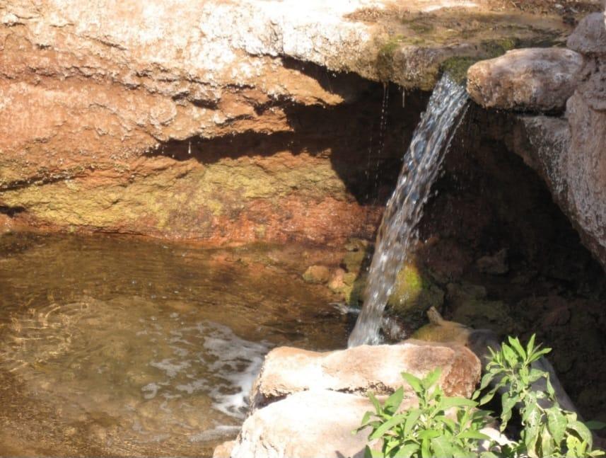 image 14