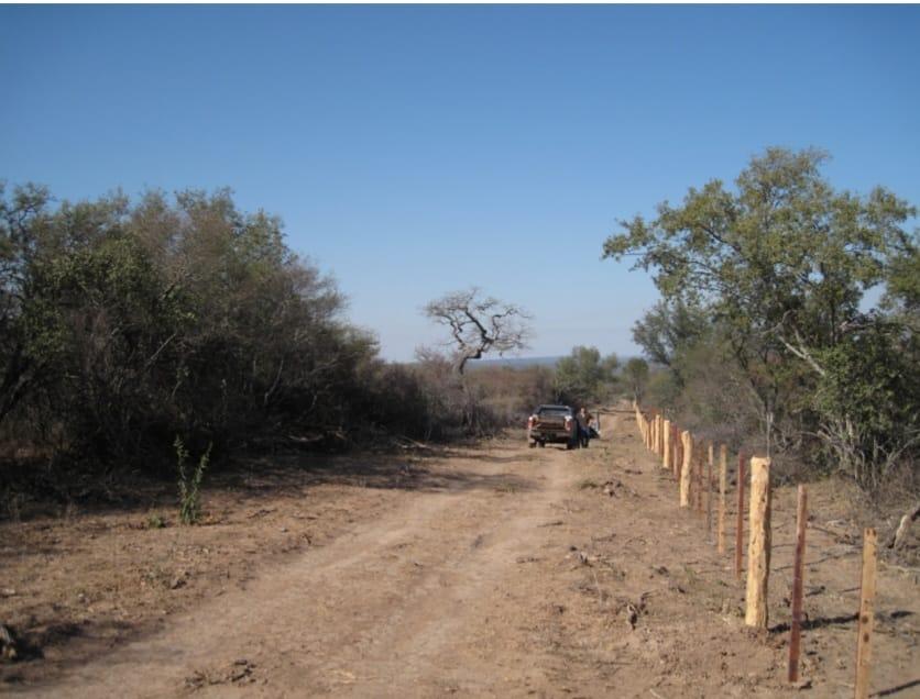 image 16
