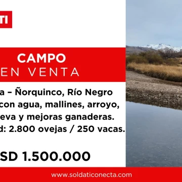 Campo 3400 ha - Ñorquinco - Rio Negro
