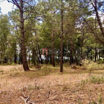 Lotes en Montoya,Punta del Este SLA4035536