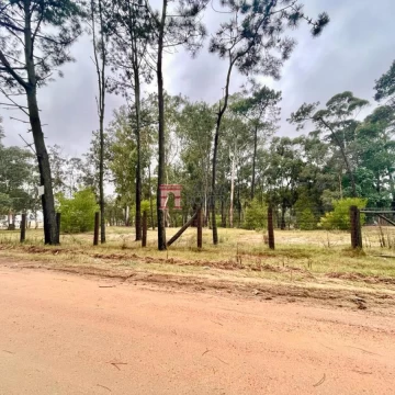 Venta Lote  Apto PH - Zona Comercial  - Punta del Este - REF:4481520