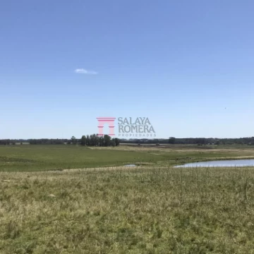 VENTA - Chacra en ruta 104 Maldonado Uruguay SLA5836311